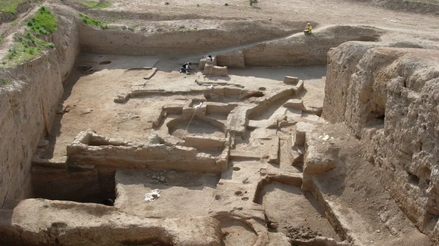 Broken Ribs on a 6,000-Year-Old Infant Skeleton Reveal a Dark Side of Early Urban Life