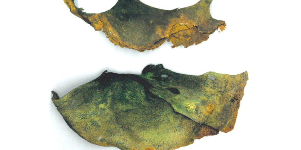 A ‘Bearskin’ in Museum Storage Turns Out to Be Sweden’s Oldest Known Shoe
