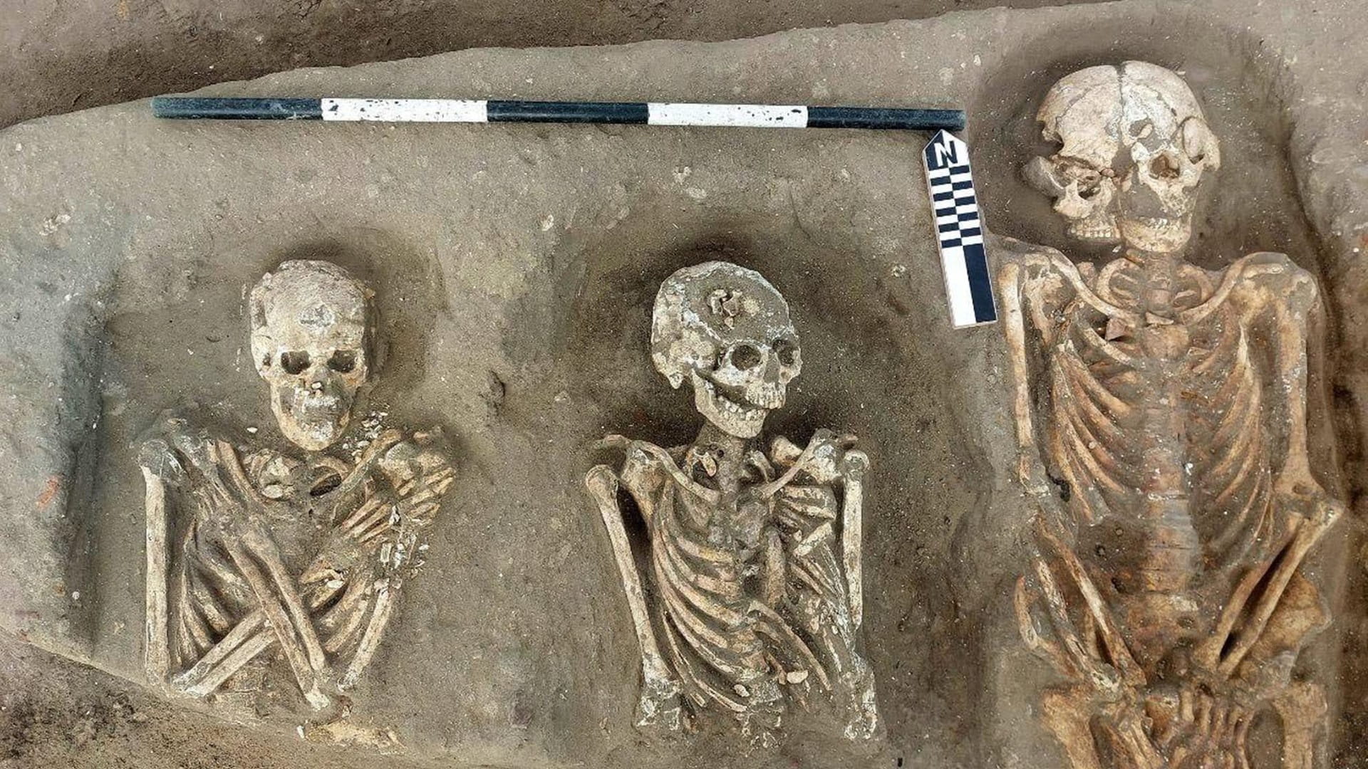 Traces of Earlier Settlement and Rare Wild Boar Burials Found Beneath Greco-Roman Cemetery in Egypt