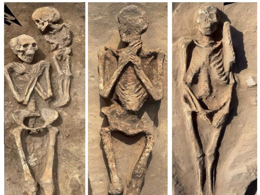 Traces of Earlier Settlement and Rare Wild Boar Burials Found Beneath Greco-Roman Cemetery in Egypt