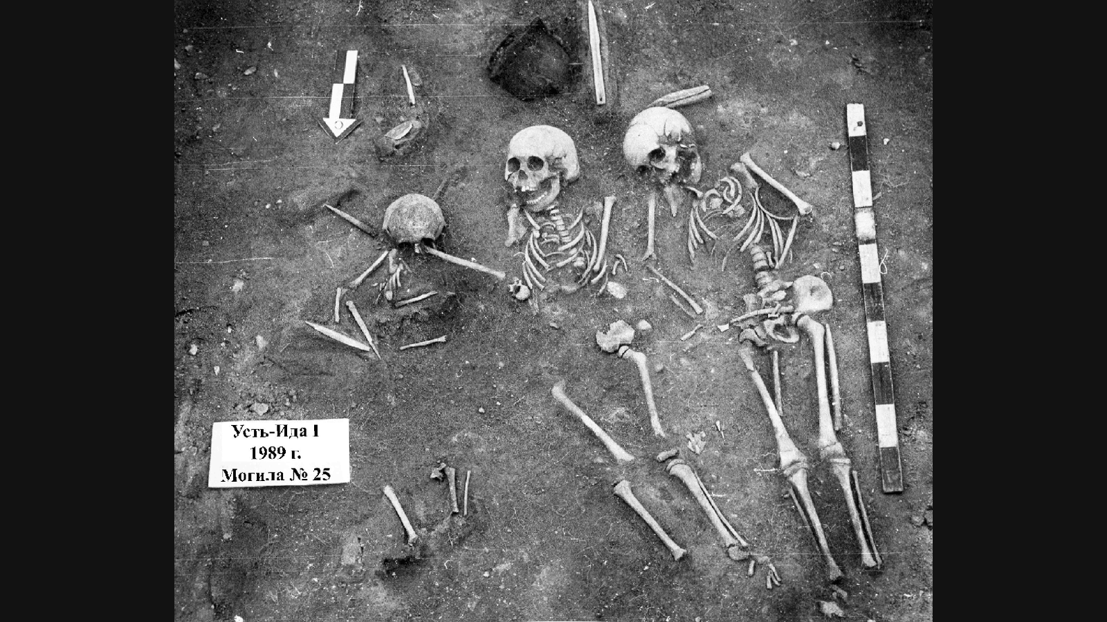 Child Graves Near Lake Baikal Reveal Plague’s Deadly Reach 5,500 Years Ago