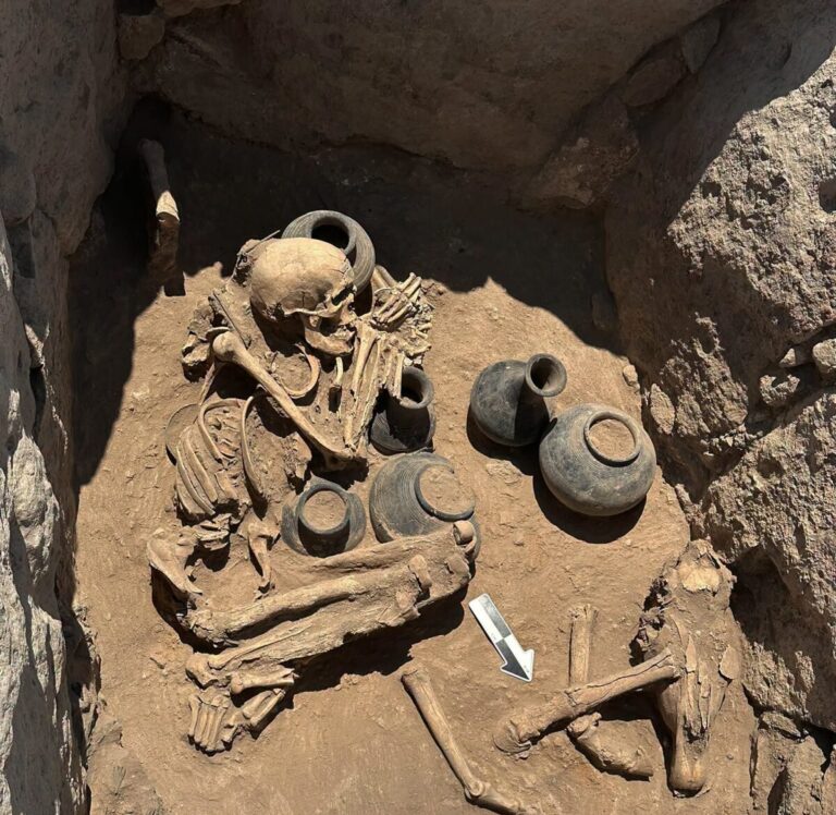 Encircled by massive rings of stone, a Late Bronze Age tomb at Shamiram in western Armenia has yielded bronze weapons, obsidian arrowheads and the remains of a horse sacrificed during an elaborate funerary ritual. Known as Tomb No. 3, the burial dates to roughly 1600–1200 BCE. Its concentric stone enclosures and central chamber distinguish it from an ordinary grave, while the quality of the objects placed inside points to a burial associated with members of the local elite. The discovery emerged during the 2026 season of the joint Armenian-Italian archaeological mission at Shamiram, one of Armenia’s largest and most deeply layered ancient settlements. A monument built around the dead The tomb was constructed around a central burial chamber surrounded by several circular stone boundaries. Creating such a monument would have required substantial labor, planning and access to an organized workforce. Inside the chamber, archaeologists documented bronze weapons along with arrowheads made from metal and obsidian. Obsidian, a naturally occurring volcanic glass found across the Armenian Highlands, was widely valued for producing sharp-edged tools and projectiles. The grave goods, together with the scale of the structure, suggest that the burial belonged to individuals of elevated social standing. Rather than serving only as a place of interment, the monument may also have expressed rank, authority and family identity within the surrounding landscape. The remains of a horse add a striking ritual dimension to the burial. Researchers believe the animal was sacrificed during the funerary ceremonies. Horses carried considerable economic and symbolic value during the Bronze Age, particularly in societies where mobility, warfare and prestige were closely connected. Killing and burying such an animal would therefore have represented a costly act. According to Armenia’s Institute of Archaeology and Ethnography, the find provides new evidence for examining elite burial customs and the symbolic role of horses among Late Bronze Age communities in the Armenian Highlands. The 2026 campaign continued earlier work at Tomb No. 3 rather than marking the tomb’s initial discovery. This season allowed the team to investigate its construction and funerary assemblage in greater detail. Shamiram before Urartian rule The excavation took place between May 26 and June 25, 2026, across several areas of the Shamiram complex in Aragatsotn Province. The expedition is directed by Varduhi Melikyan for Armenia and Roberto Dan for Italy. It is conducted through cooperation between the Institute of Archaeology and Ethnography of Armenia’s National Academy of Sciences and ISMEO, the International Association for Mediterranean and Oriental Studies. Shamiram occupies a broad fortified rocky plateau containing burial grounds, habitation areas and monumental defenses. Archaeological layers at the site preserve more than 3,000 years of activity, extending from the Late Bronze and Iron Ages through the Urartian, Hellenistic, Late Antique, medieval and post-medieval periods. This long sequence makes it possible to trace how successive communities reused the same fortified landscape. Behind one of the towers of the Urartian fortress, archaeologists uncovered an Iron Age room bearing clear evidence of fire and destruction. A still earlier burial found below the defensive level predates the construction of the Urartian fortifications. These layers are particularly important for understanding the period before Shamiram was incorporated into the political sphere of Urartu, also known as the Kingdom of Van. Urartu emerged as a major power in the Armenian Highlands during the ninth century BCE and remained influential until the sixth century BCE. Its rulers built large fortresses, administrative centers and hydraulic systems across the region. At Shamiram, the relationship between the earlier settlement and the later Urartian fortress may clarify how local communities were transformed as Urartian authority expanded. Towers reused across centuries Elsewhere at the site, archaeologists examined the remains of the fortified settlement’s gateways and towers. At Tower 3, they exposed a well-preserved Urartian megalithic structure measuring approximately 8.5 meters on each side. Work at another defensive sector indicated that an L-shaped entrance visible today was probably rebuilt during the Hellenistic period over an earlier Iron Age gateway. Column bases and medieval buildings were also documented beside older Urartian structures. These later additions show that the fortress walls continued to shape the settlement’s layout long after their original defensive role had ended. The monumental tomb, however, belongs to a much earlier chapter in Shamiram’s history. Its weapons, stone architecture and sacrificed horse indicate that the site already held considerable social and ceremonial importance centuries before the rise of Urartu. Future study of the human remains, animal bones and grave goods may determine how many people were buried in Tomb No. 3 and provide a clearer picture of the community that built one of Shamiram’s most imposing Bronze Age monuments.