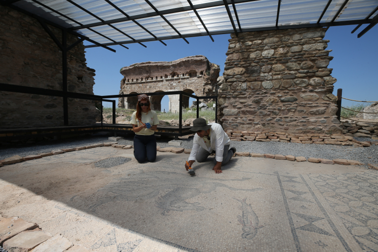 2,000-Year-Old Mosaic of Poseidon’s Mythical Sea Horse Found Beneath Byzantine Workshop at Tralleis
