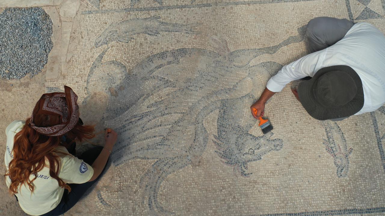 2,000-Year-Old Mosaic of Poseidon’s Mythical Sea Horse Found Beneath Byzantine Workshop at Tralleis