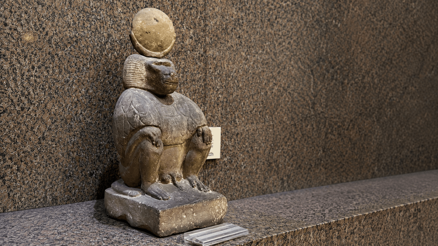 Moonlike Fur May Explain Why Ancient Egyptians Linked Baboons to Thoth