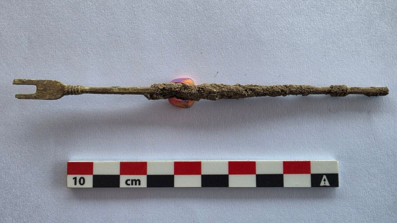 Rare Roman Surgical Tool for Bladder Stone Surgery Found Beside Temple of Hercules in Bulgaria