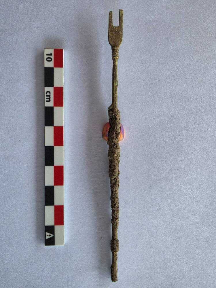 Rare Roman Surgical Tool for Bladder Stone Surgery Found Beside Temple of Hercules in Bulgaria