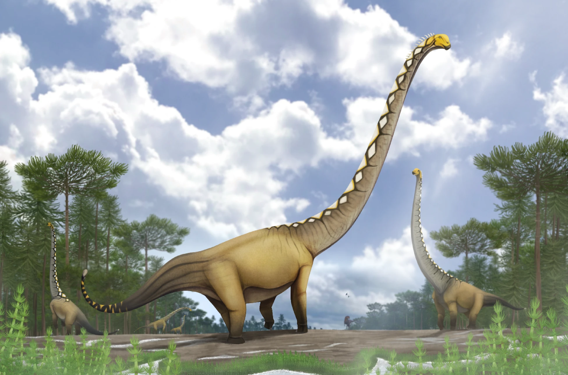 Single Vertebra Reveals New Long-Necked Dinosaur in Thailand