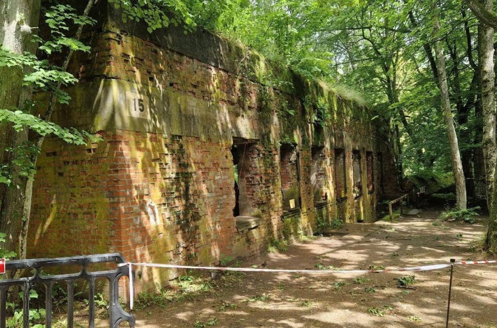 Six Skeletons Beneath Hermann Göring’s Wolf’s Lair House Prompt New Excavation