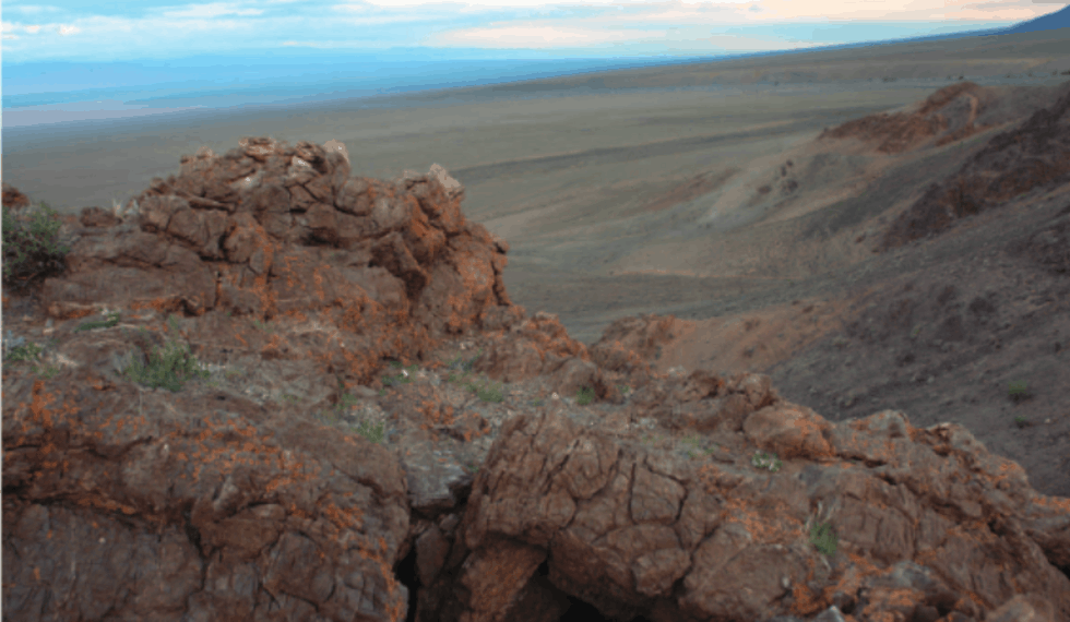 Turkic-Period Tomb in Mongolia Yields 1,400-Year-Old Peach Wood Bow and Horse-Head Instrument with Runic Inscription