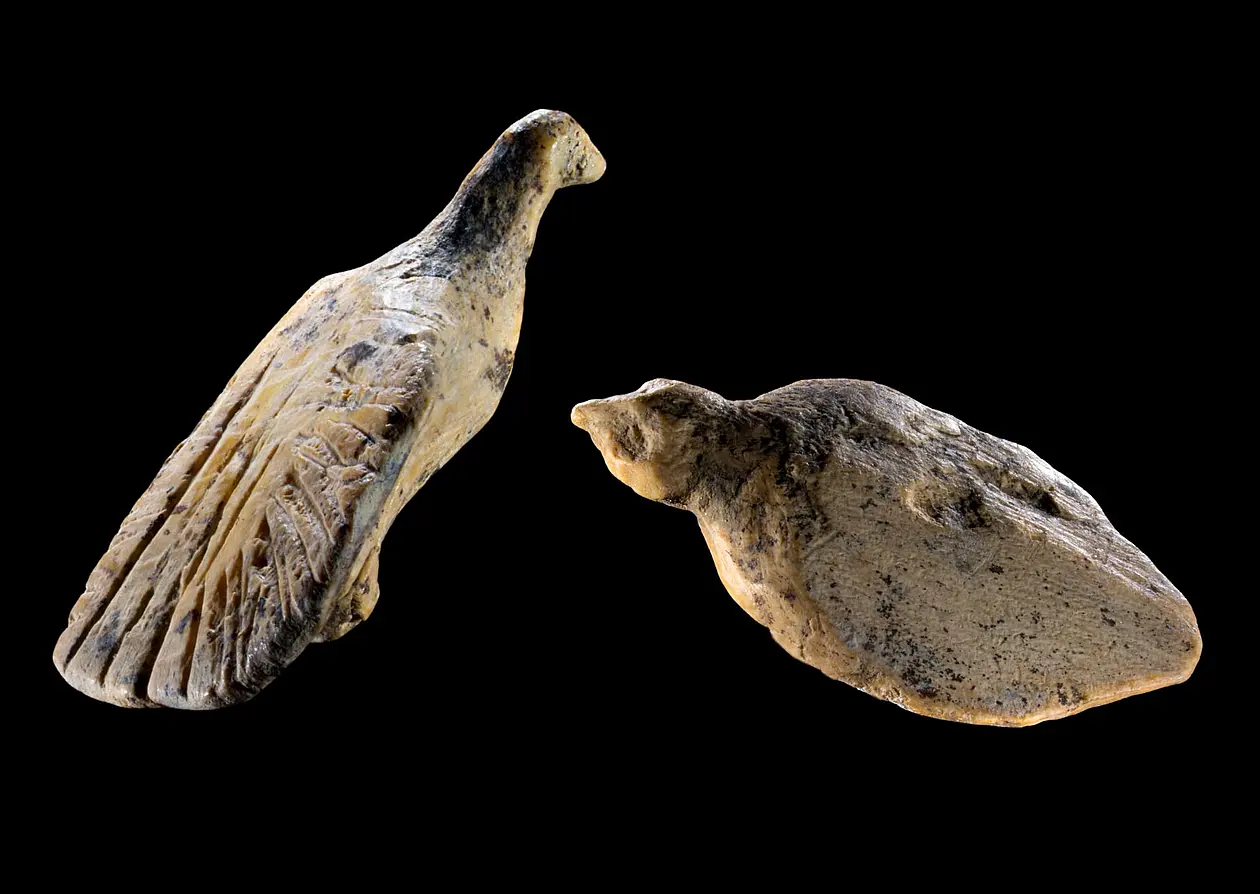 Two Tiny 40,000-Year-Old Ivory Birds Unearthed in Germany’s Hohle Fels Cave