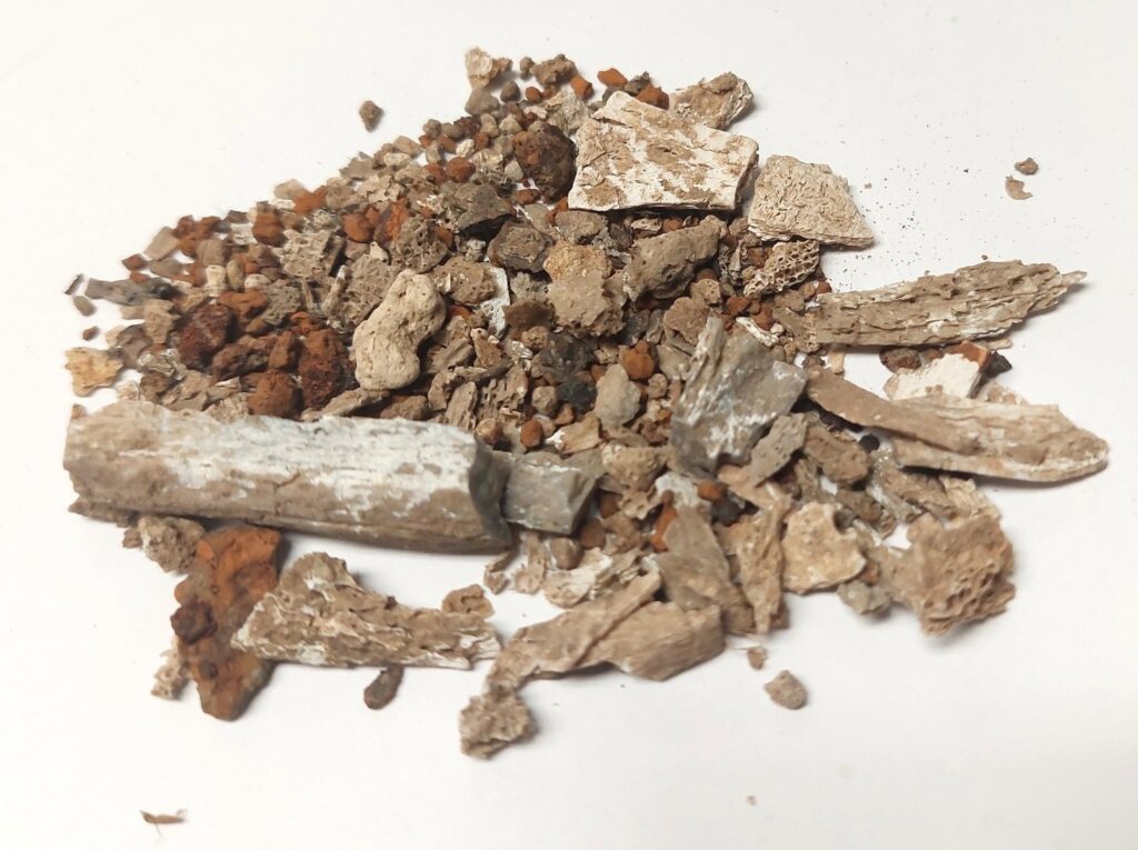 Burned human bone fragments recovered from inside the ancient shield boss