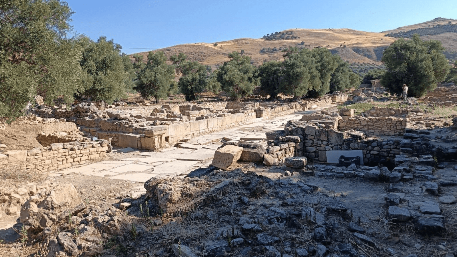 20-Meter Stretch of Ancient Main Street Unearthed at Gortyn in Crete