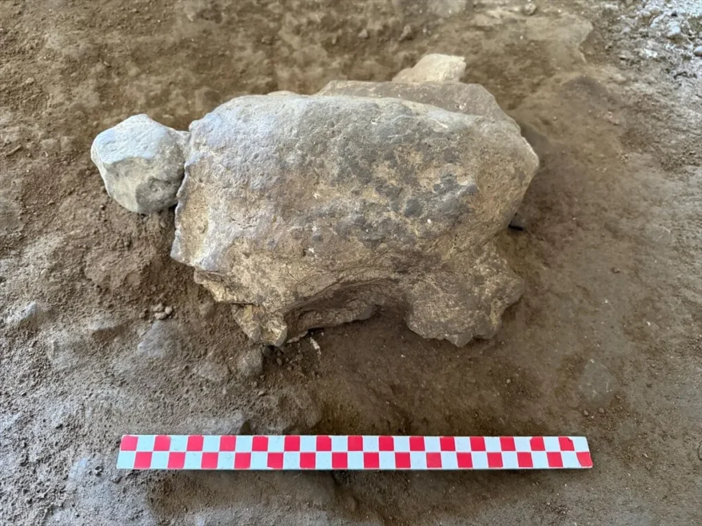 25 Stone Turtle Figurines Found in a Turkish Cave May Reveal a 16,500-Year-Old Ritual World