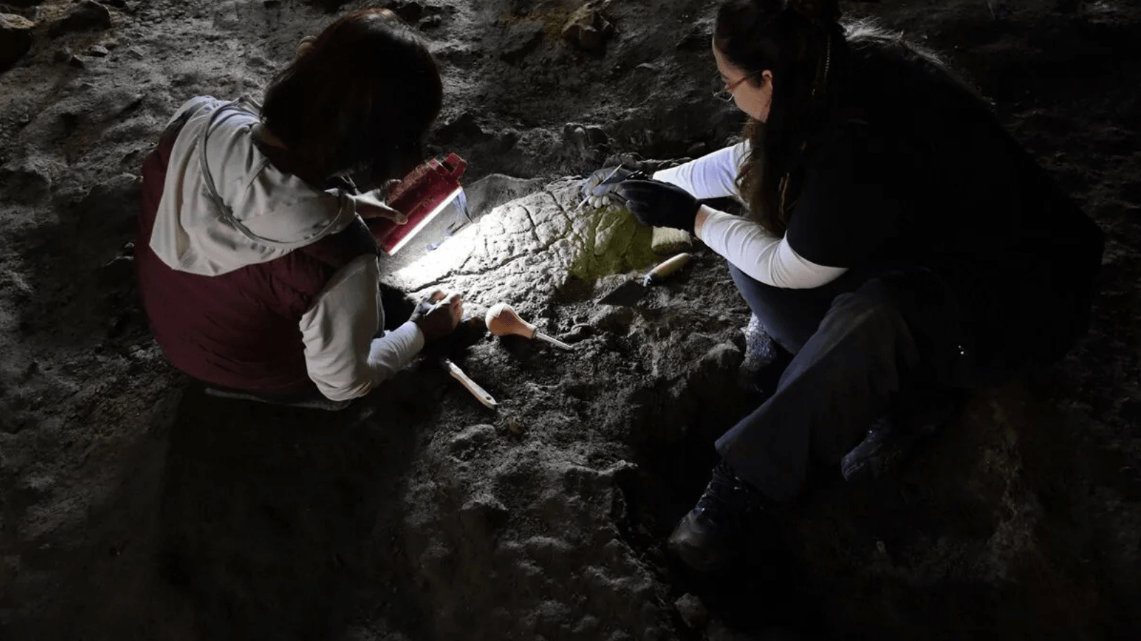 25 Stone Turtle Figurines Found in a Turkish Cave May Reveal a 16,500-Year-Old Ritual World