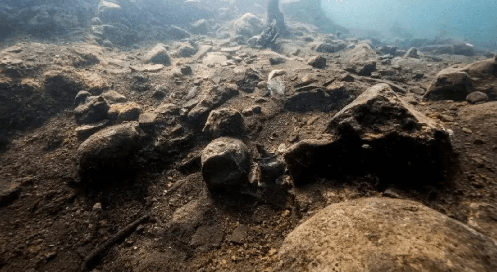 3,000-Year-Old Wheat Ears Found Intact as Ritual Offerings Beneath Italy’s Lake Bolsena