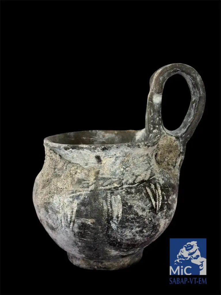 3,000-Year-Old Wheat Ears Found Intact as Ritual Offerings Beneath Italy’s Lake Bolsena