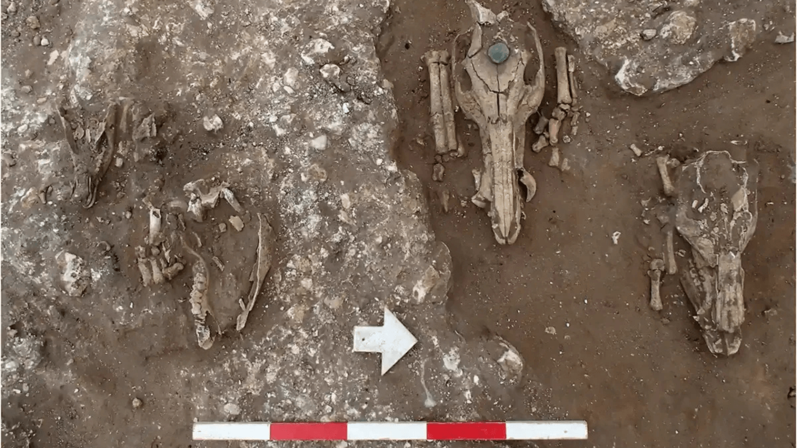 A 4,000-Year-Old Burial Mound Became a Roman Sanctuary — Then Came the Medieval Gallows