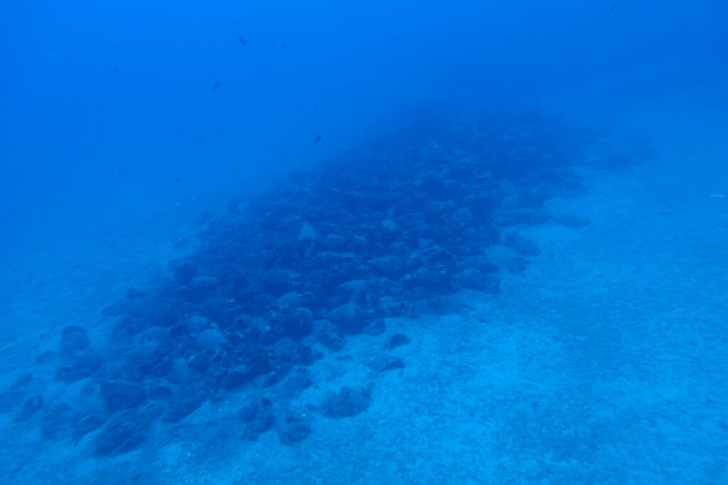 2,400-Year-Old Shipwreck with Up to 650 Amphorae Discovered off Andros