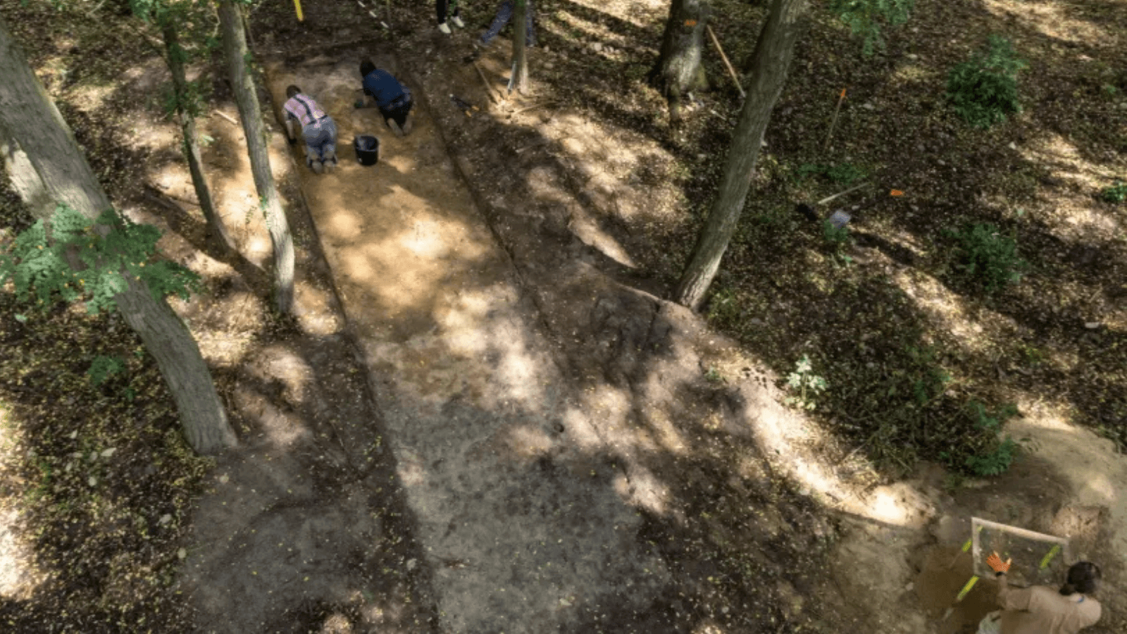 Archaeologists Discover a 5,500-Year-Old Monument Hidden Beneath a Polish Forest