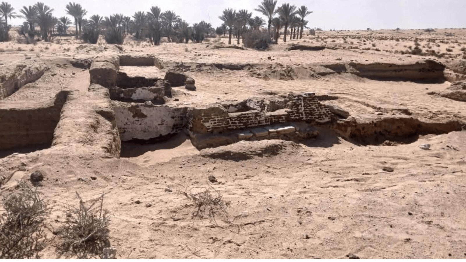 Buried Mamluk Caravanserai Unearthed in North Sinai on Egypt’s Historic Pilgrimage Route