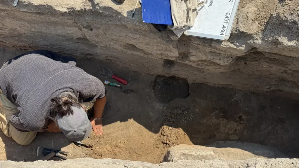 Eight Infant Skeletons Found Beside Çatalhöyük’s “House of the Dead” Raise a Neolithic Mystery