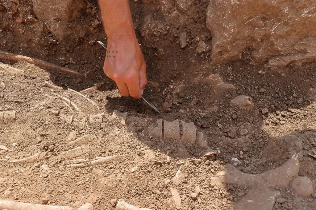 Complete 2,300-Year-Old Skeleton Found at Hattusa with Knife Beside the Shoulder