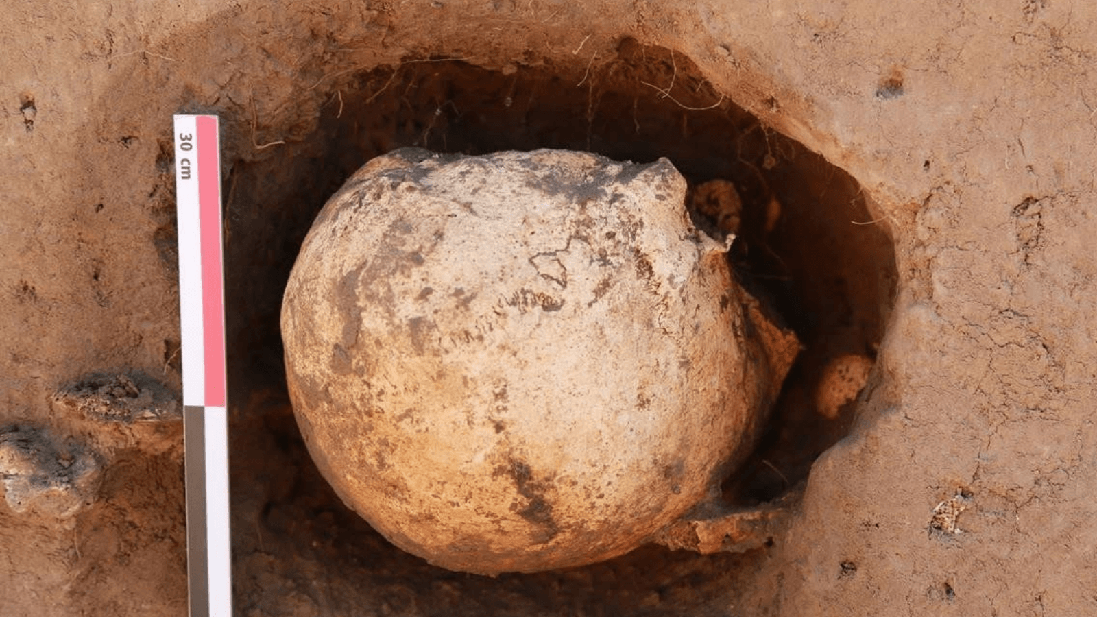 Inverted Human Skull and Iron Nails Found in an Unusual Grave in Poland