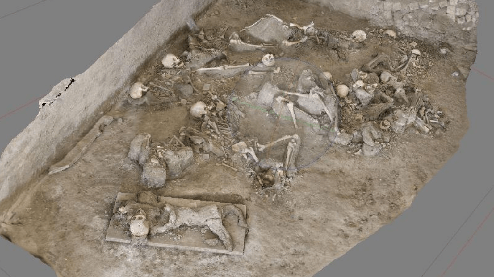 Nearly 2,000-Year-Old Bones Reveal What Vesuvius Victims Near Pompeii Ate