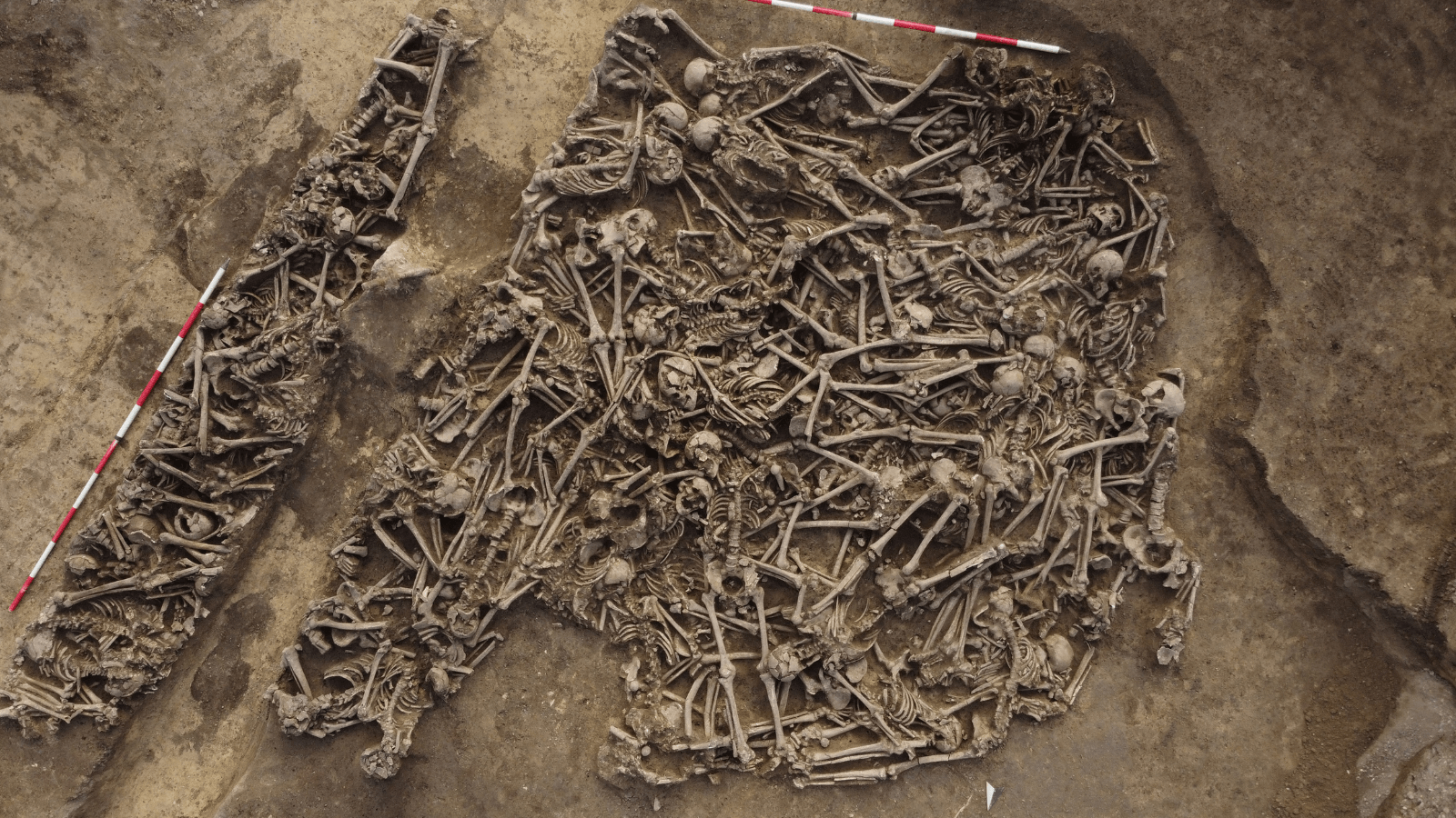 Vienna Mass Grave of 129 Men May Reveal an Unknown Roman-Era Battle