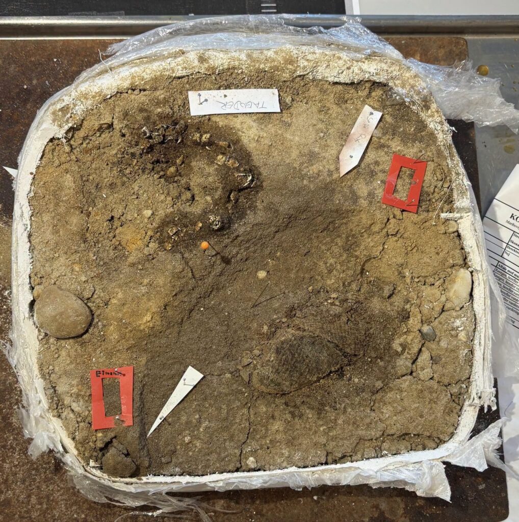 Repaired Viking Brooch Found with Rare 1,300-Year-Old Clothing in a Child’s Grave