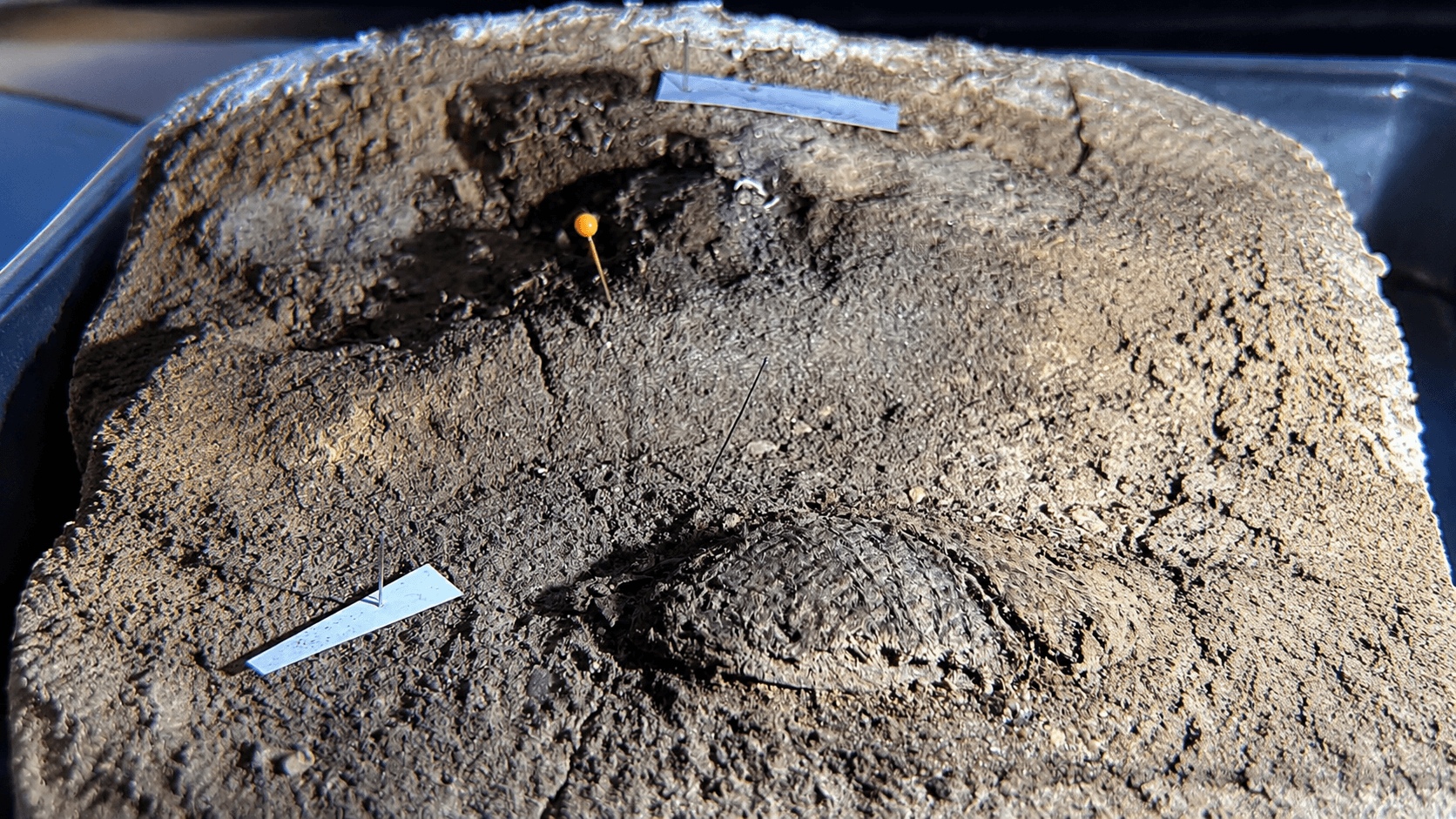 Repaired Viking Brooch Found with Rare 1,300-Year-Old Clothing in a Child’s Grave