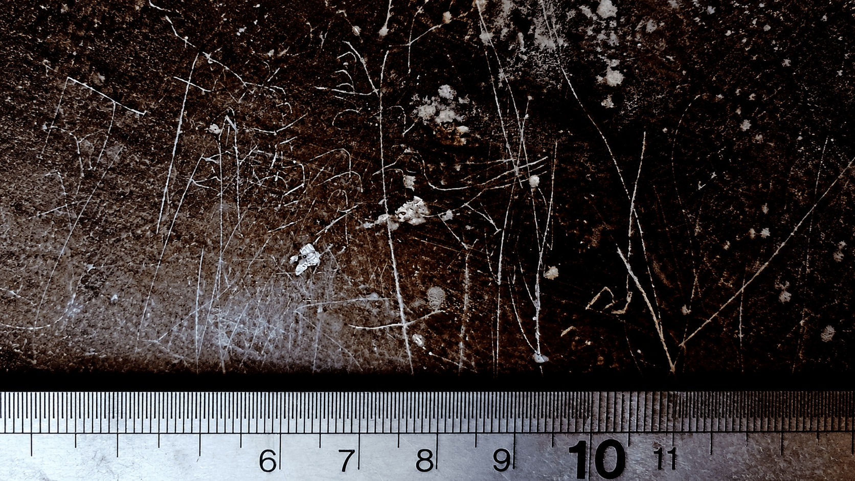 Tiny Sasanian Bird Carving Discovered Beside a Pahlavi Inscription in Iran