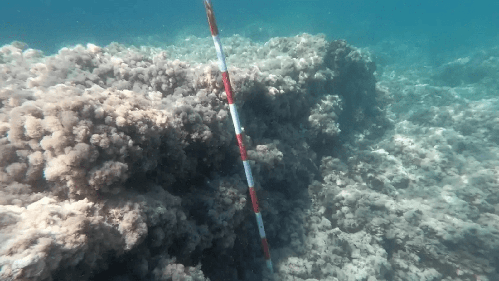 Submerged Etruscan Harbor Found Off Rome May Be the Oldest Known Linked to a Temple