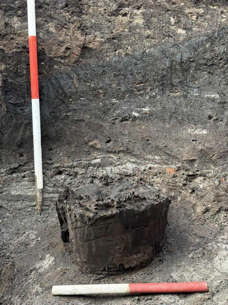 Wooden Foundations Found Beneath the Entrance to Denmark’s Trøjborg Castle