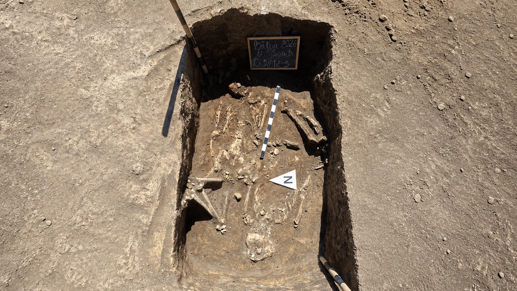 5,000-Year-Old Yamnaya Graves in Romania Reveal an Unusual Skull Placement