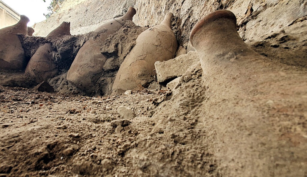 Nearly 2,000-Year-Old Bones Reveal What Vesuvius Victims Near Pompeii Ate