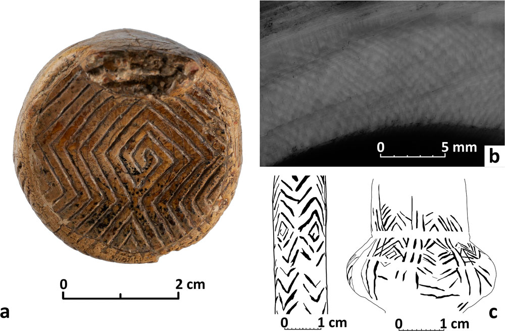 Comparison of engravings on Mizyn figurines with natural growth patterns inside mammoth ivory.
