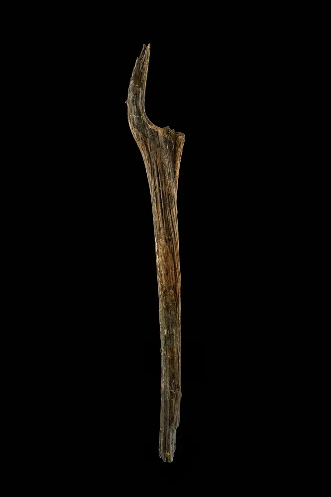 10,500-Year-Old Wooden Remains Found 20 Meters Beneath a German Lake