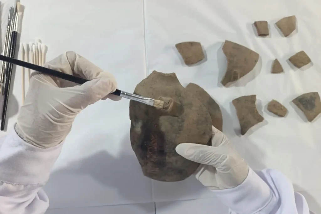 Conservator cleaning Inca-period pottery fragments recovered at Wancasanga in Peru.