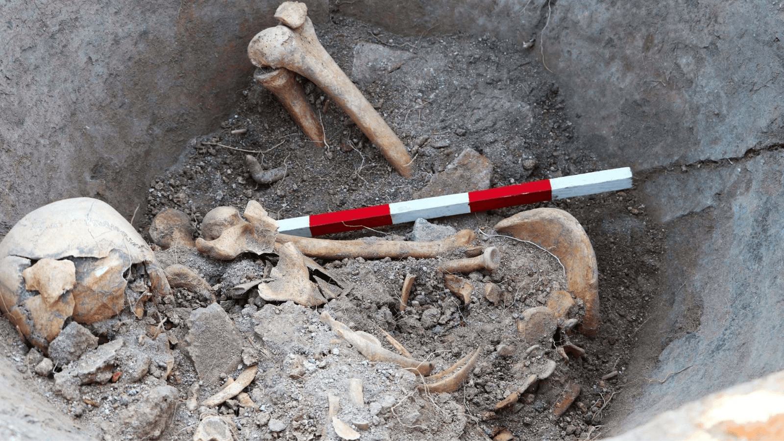 1,600-Year-Old Skeleton Found Curled Inside a Giant Roman Jar in Bulgaria