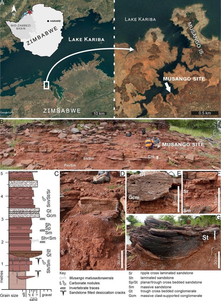 Maps and field photographs showing the Musango dinosaur fossil site and rock layers beside Lake Kariba, Zimbabwe.