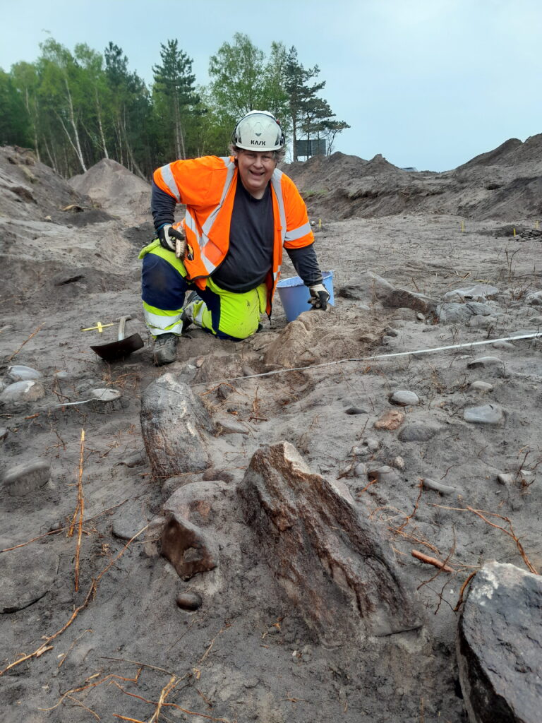 Archaeologist excavating the prehistoric stone ship burial near Domsten, Sweden