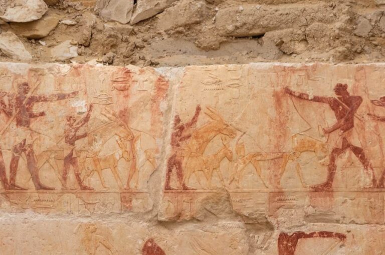 Ancient Egyptian agricultural relief showing workers and livestock in Yunmin’s tomb