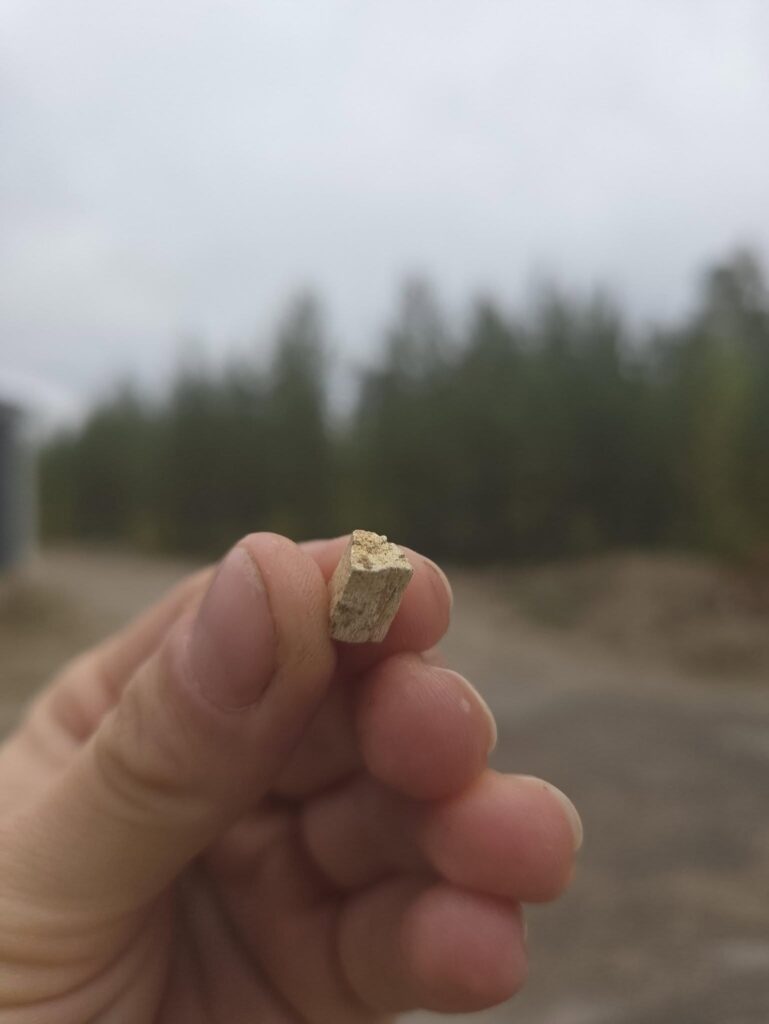 Fragment of a bone point held between fingers.