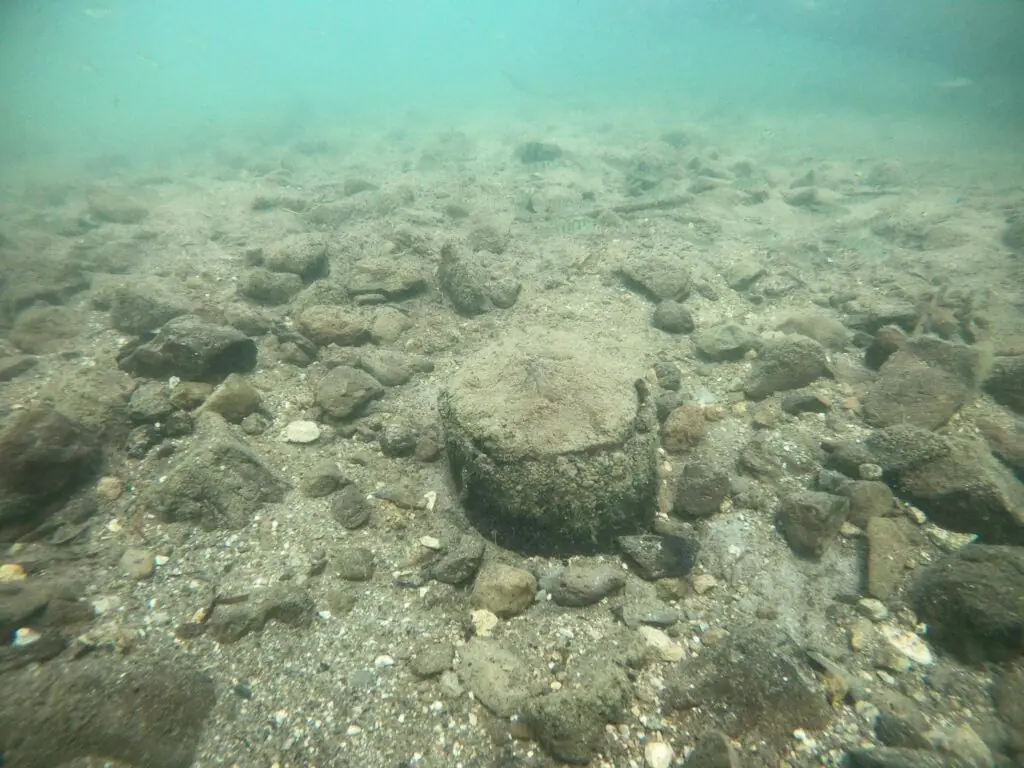 Preserved wooden pile from the Bronze Age settlement beneath Lake Mezzano