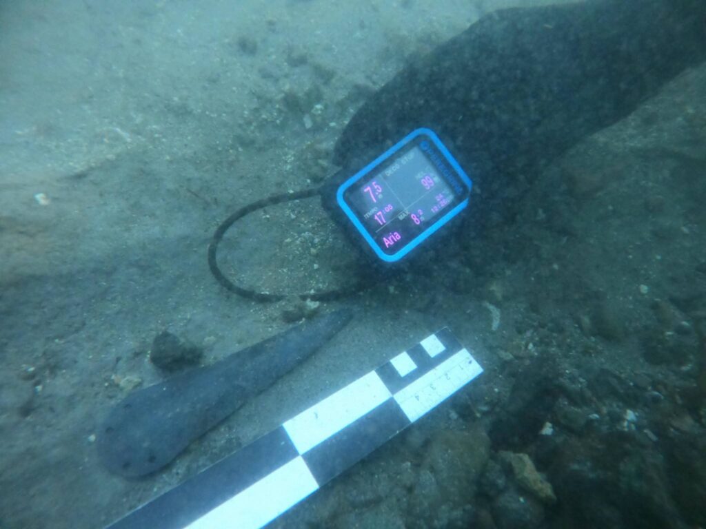 Bronze artifact documented with a measuring scale on the bed of Lake Mezzano
