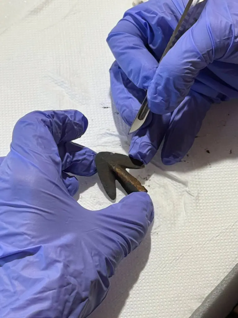 Small bronze object undergoing conservation after recovery from Lake Mezzano