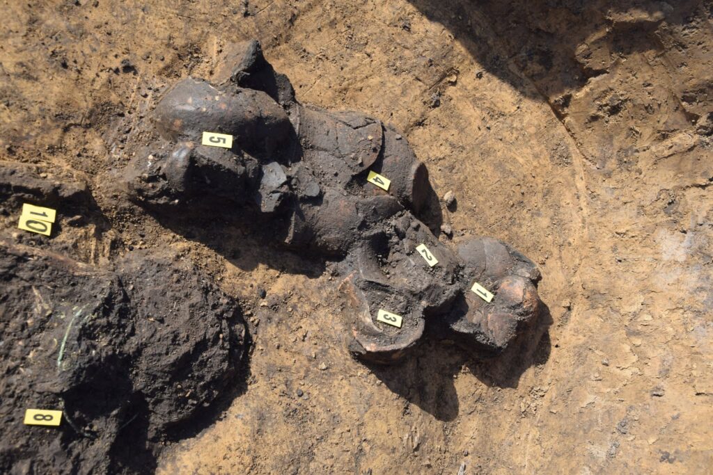 A 7,000-Year-Old Village Emerges Along a Future Highway in Czechia