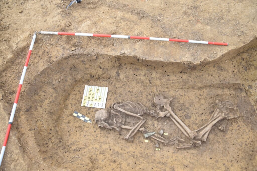 Human skeleton exposed in an excavated grave near Přerov.
